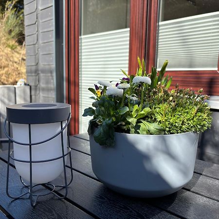 Dein Winterberg Apartment - Wifi Geschirrspueler Smart Tv 客房 照片