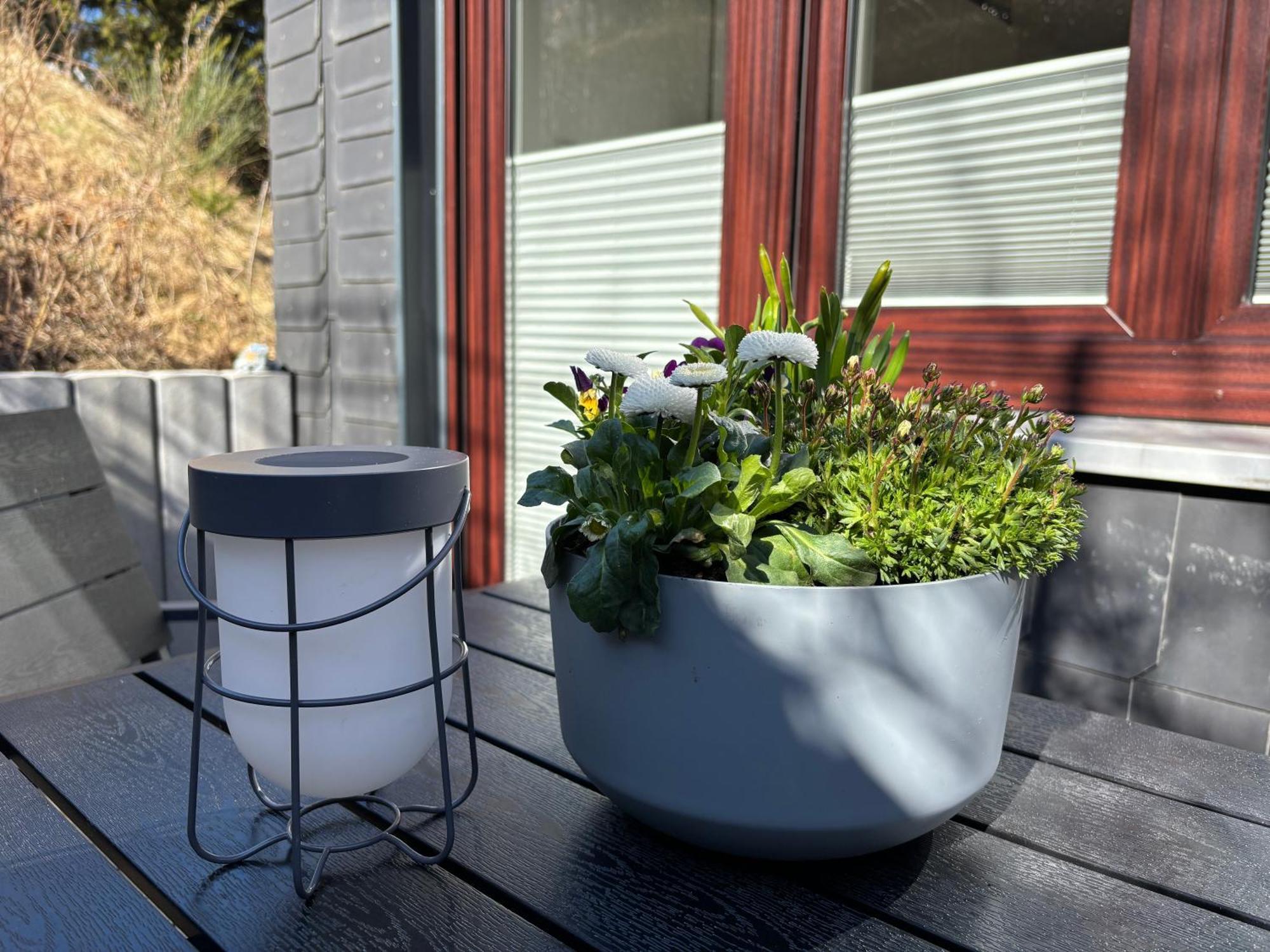 Dein Winterberg Apartment - Wifi Geschirrspueler Smart Tv 客房 照片